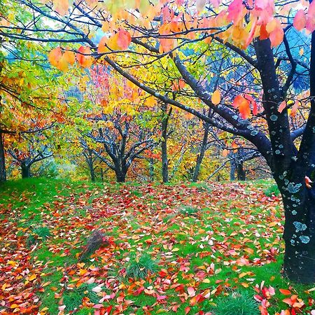 Albareilla By #Cherrygredos El Arenal  Ngoại thất bức ảnh