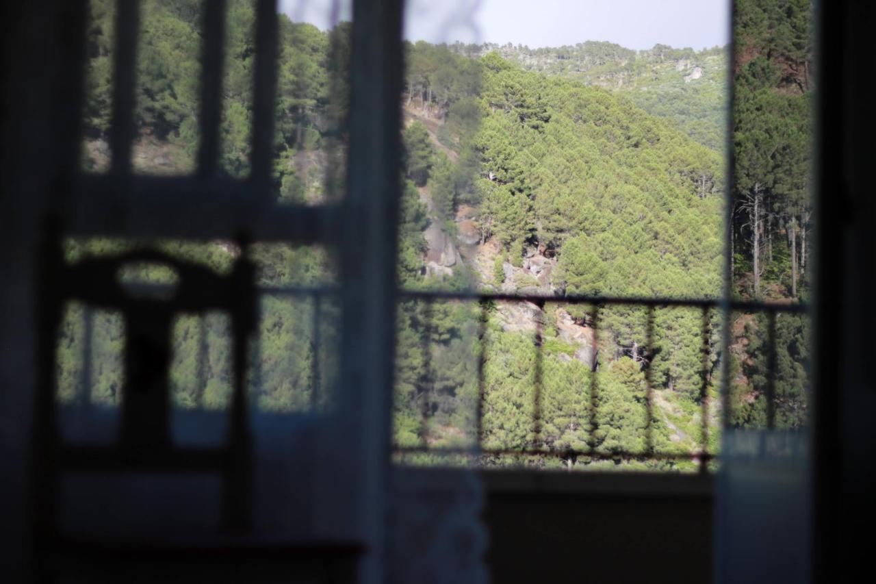 Albareilla By #Cherrygredos El Arenal  Ngoại thất bức ảnh
