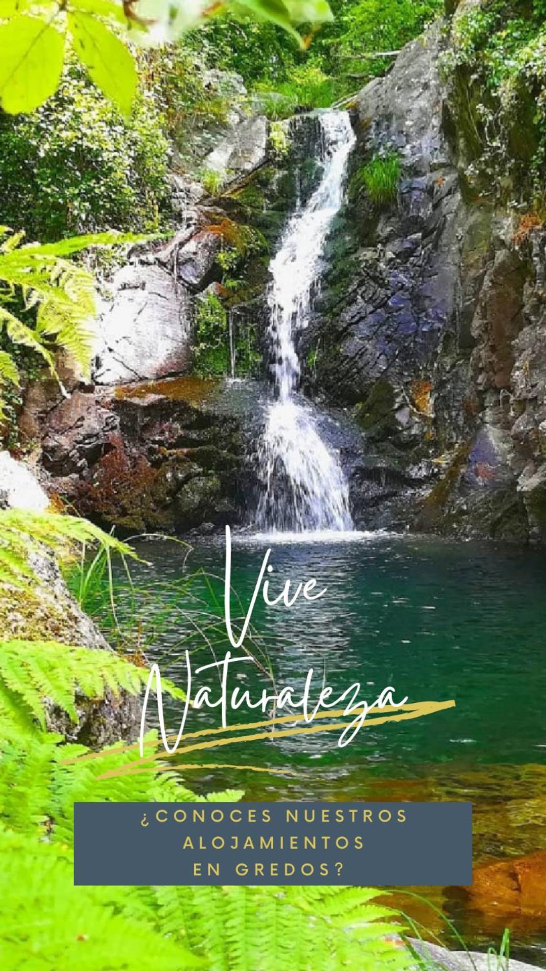 Albareilla By #Cherrygredos El Arenal  Ngoại thất bức ảnh