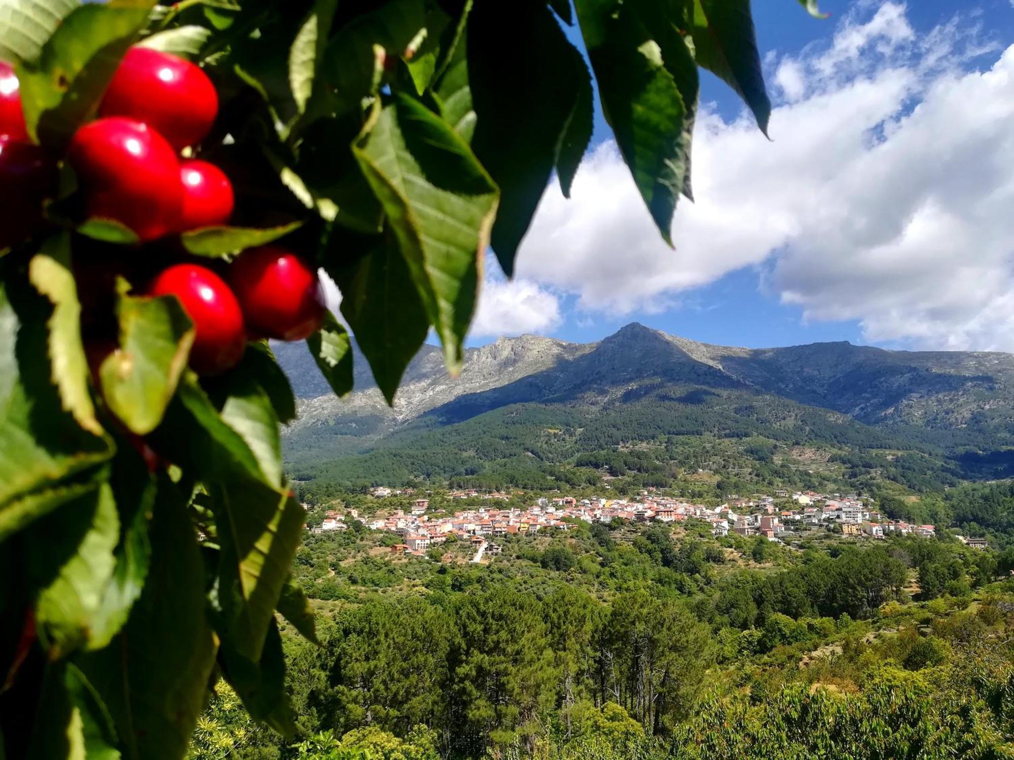 Albareilla By #Cherrygredos El Arenal  Ngoại thất bức ảnh