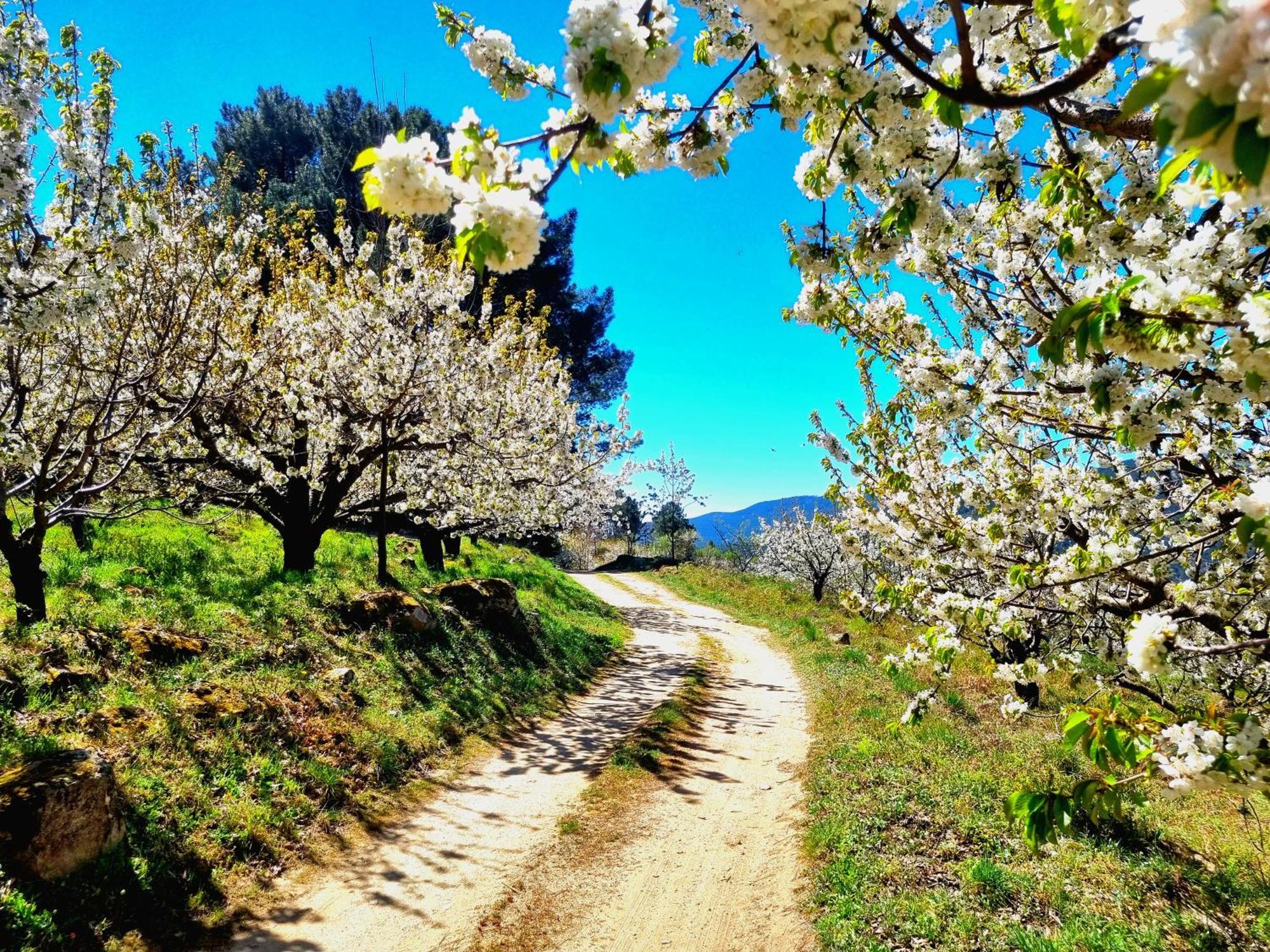 Albareilla By #Cherrygredos El Arenal  Ngoại thất bức ảnh
