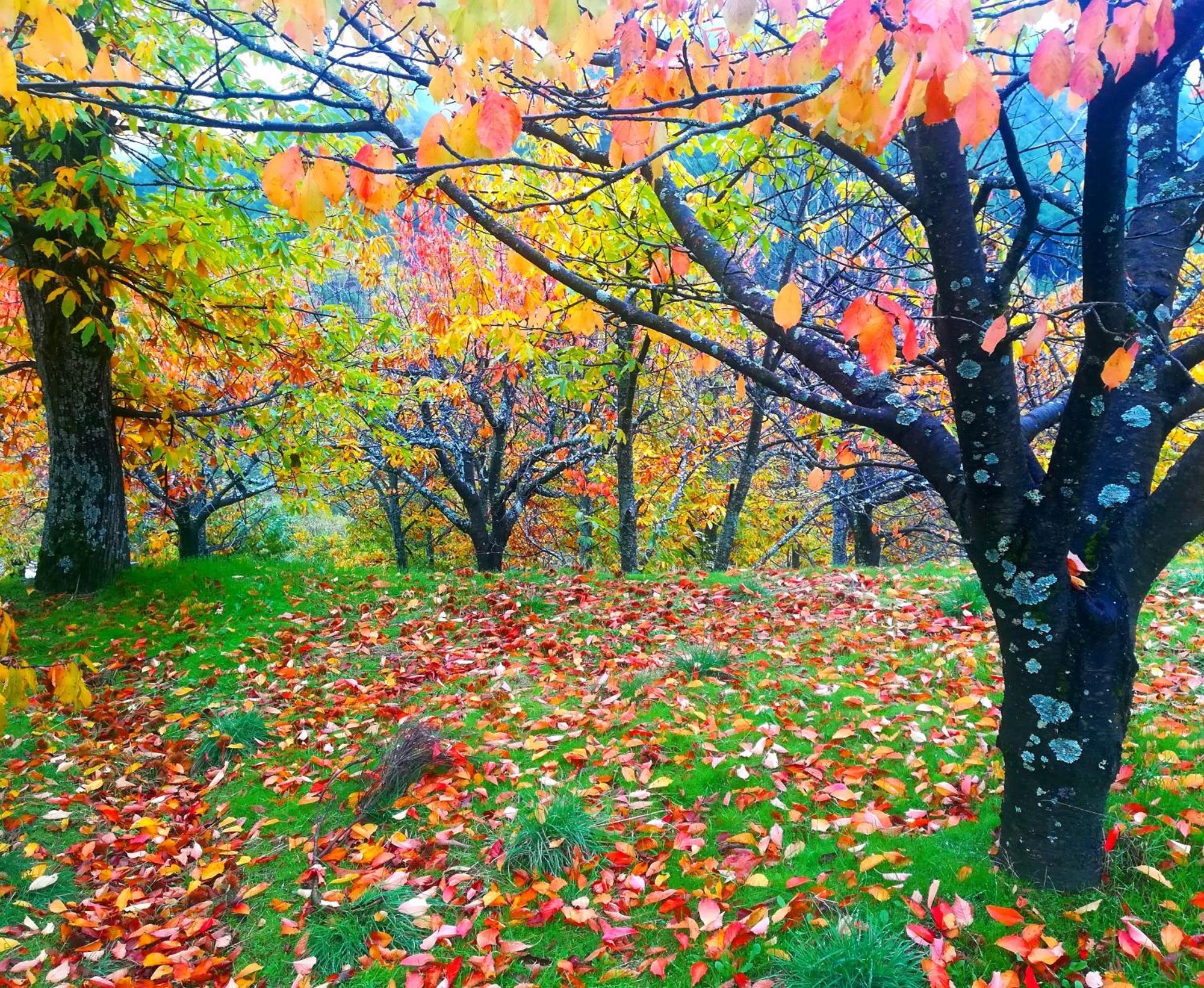 Albareilla By #Cherrygredos El Arenal  Ngoại thất bức ảnh