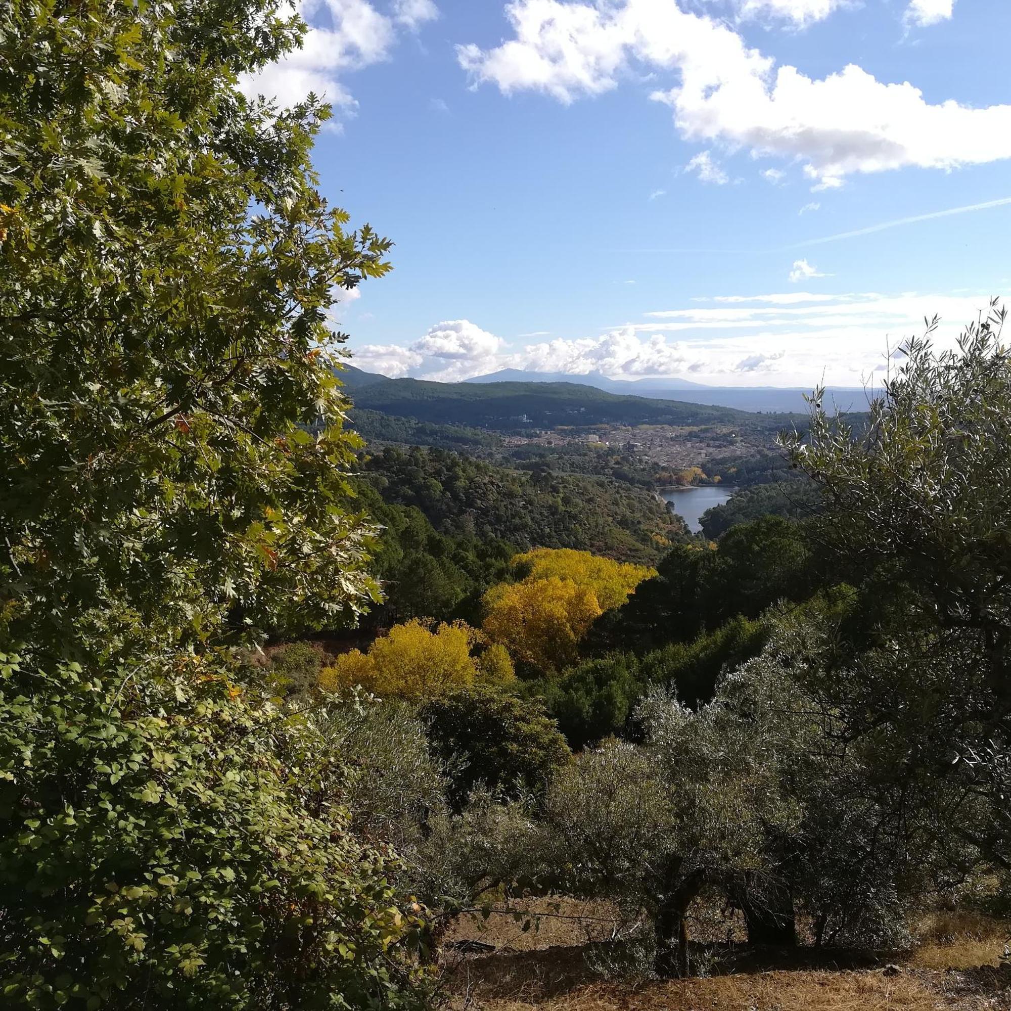 Albareilla By #Cherrygredos El Arenal  Ngoại thất bức ảnh