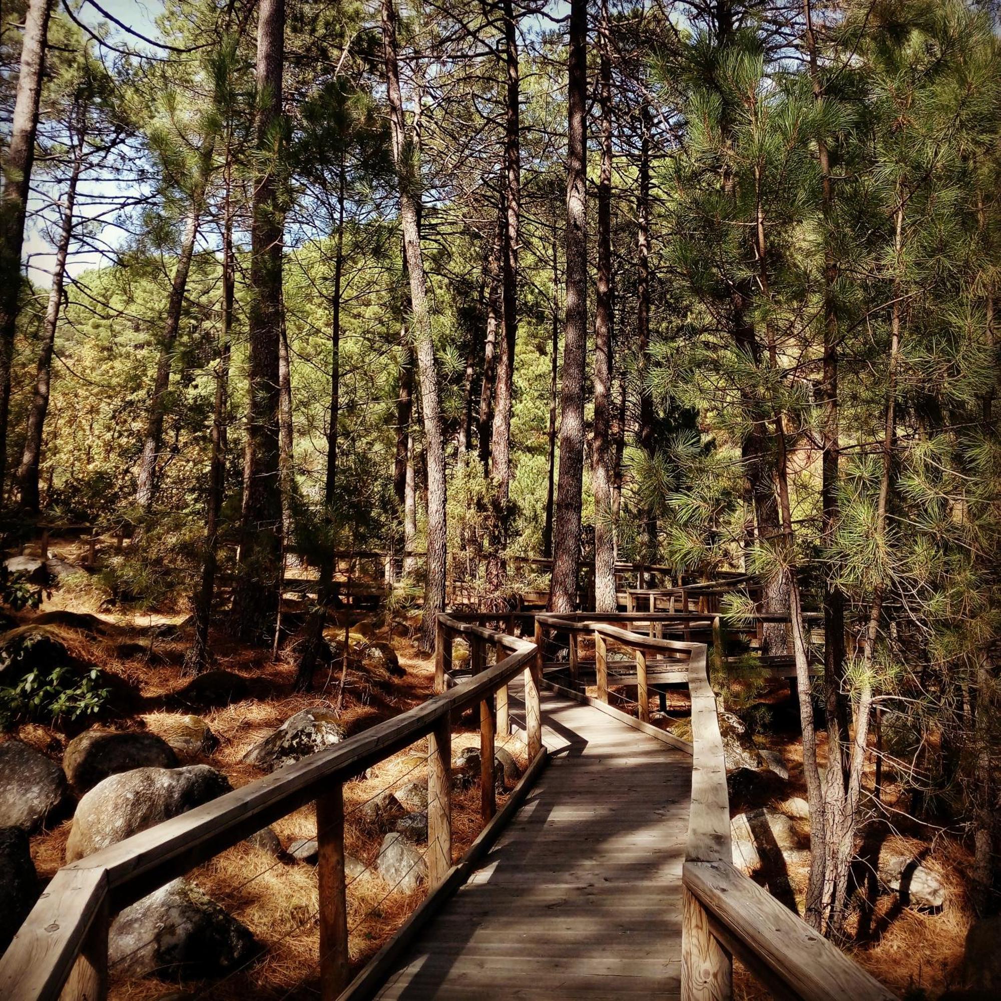 Albareilla By #Cherrygredos El Arenal  Ngoại thất bức ảnh