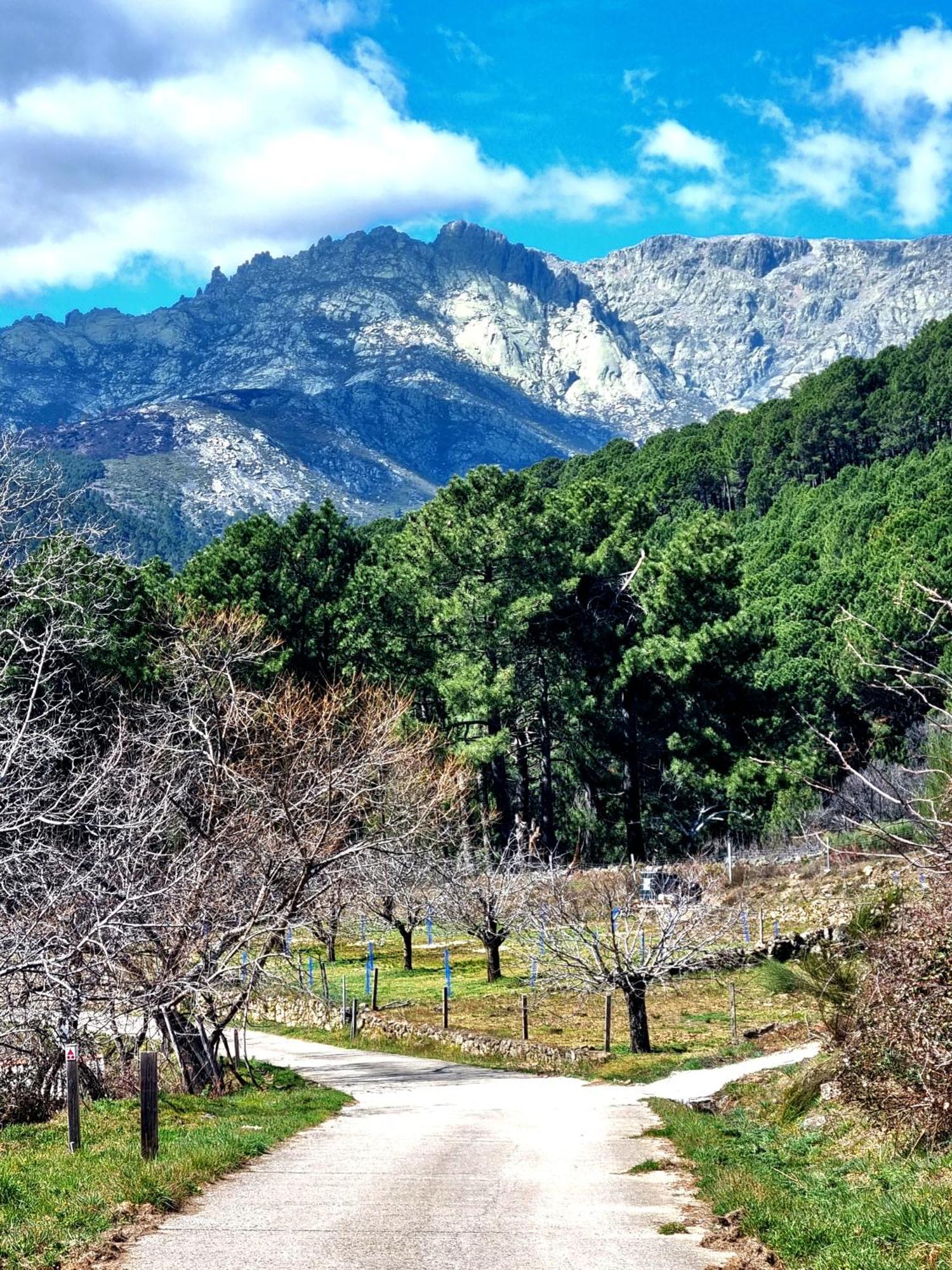 Albareilla By #Cherrygredos El Arenal  Ngoại thất bức ảnh