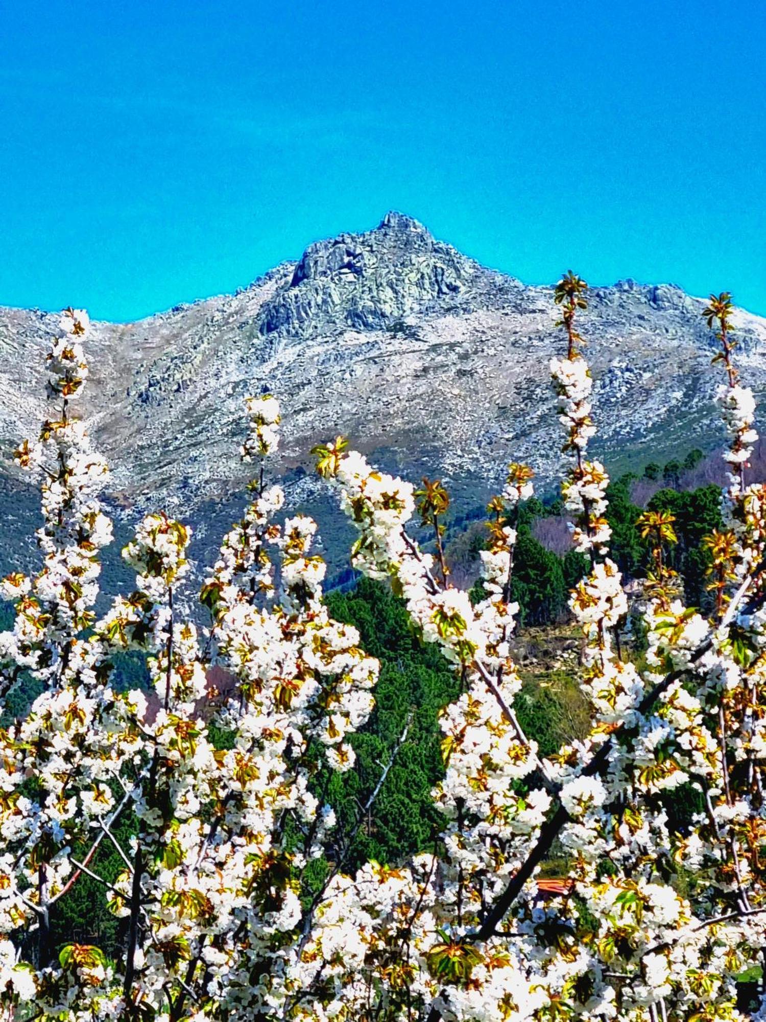 Albareilla By #Cherrygredos El Arenal  Ngoại thất bức ảnh