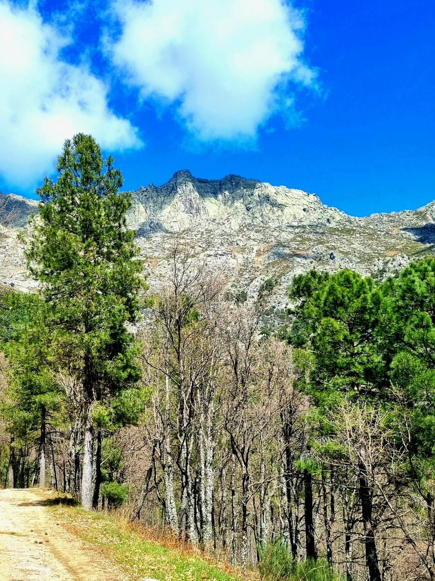 Albareilla By #Cherrygredos El Arenal  Ngoại thất bức ảnh